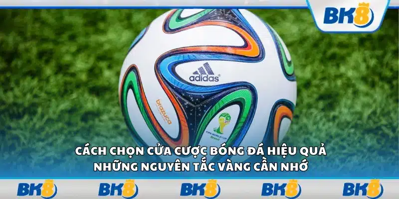 Cách chọn cửa cược bóng đá hiệu quả – Những nguyên tắc vàng cần nhớ