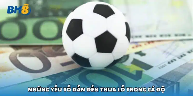 Các yếu tố dẫn đến thua lỗ trong cá độ