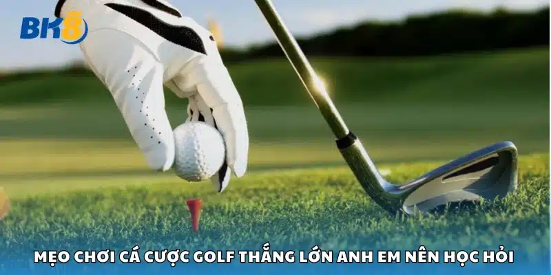 Mẹo chơi cá cược golf thắng lớn anh em nên học hỏi